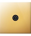 Prise TV simple Art Epure Or Miroir