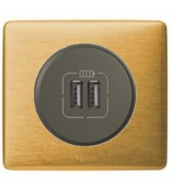 Chargeur USB Céliane double, Laiton enjoliveur Graphite-Legrand-NC5020G-IM#38768
