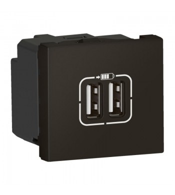 Chargeur USB type A (Noir Mat)-Legrand-079194L-IM#39334