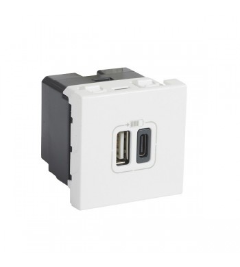 Chargeur USB double Type-A + Type C Blanc Mosaic-Legrand-077592-IM#42917