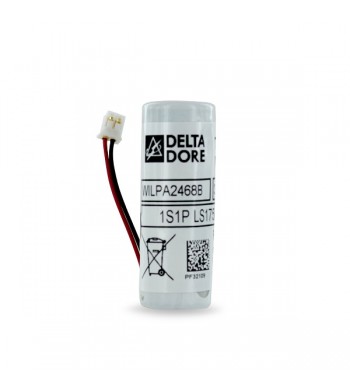 Batterie DMDR pour détecteur rideau ext DMDR Tyxal+ -Delta Dore-6416234-IM#43381