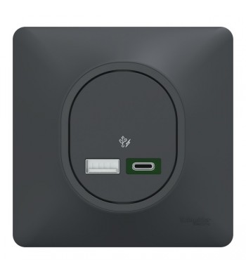 Double Chargeur USB Type A + C Anthracite pour Charge Rapide | Ovalis complet-Schneider Electric-CS340403-IM#44264