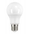Ampoule A60 LED E27 9W variable - Blanc Froid