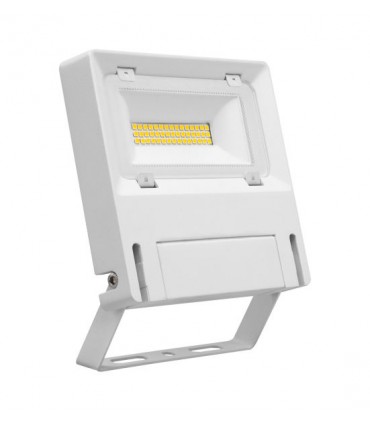 Projecteur extérieur blanc IP65 LED 30W Blanc froid | MICHELLE-ARIC Luminaire éclairage-51271-IM#44495