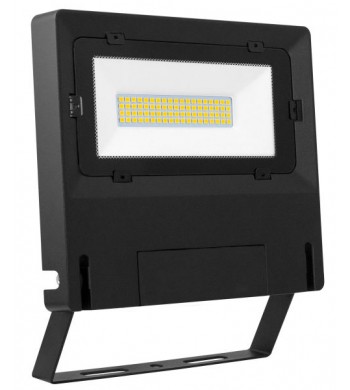 Projecteur extérieur noir IP65 LED 50W Blanc froid | MICHELLE-ARIC Luminaire éclairage-51267-IM#44517