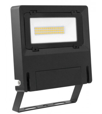 Projecteur extérieur Noir IP65 LED 30W Blanc froid | MICHELLE-ARIC Luminaire éclairage-51266-IM#44519