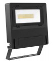Projecteur extérieur Noir IP65 LED 30W Blanc froid | MICHELLE