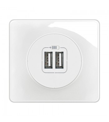 Legrand Céliane Prise chargeur USB double Type-A Céliane Blanc