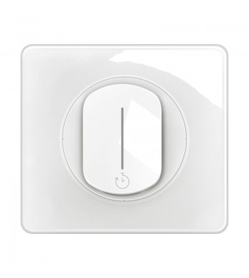 Legrand Céliane Interrupteur temporisé Céliane - Interrupteur minuterie 1000W