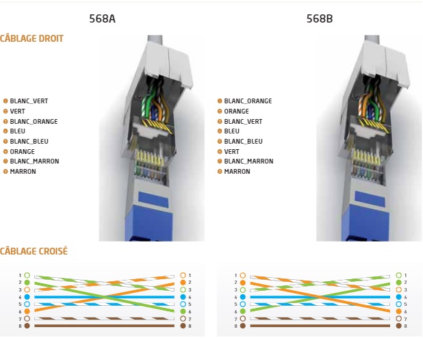 cablage-prise-rj45